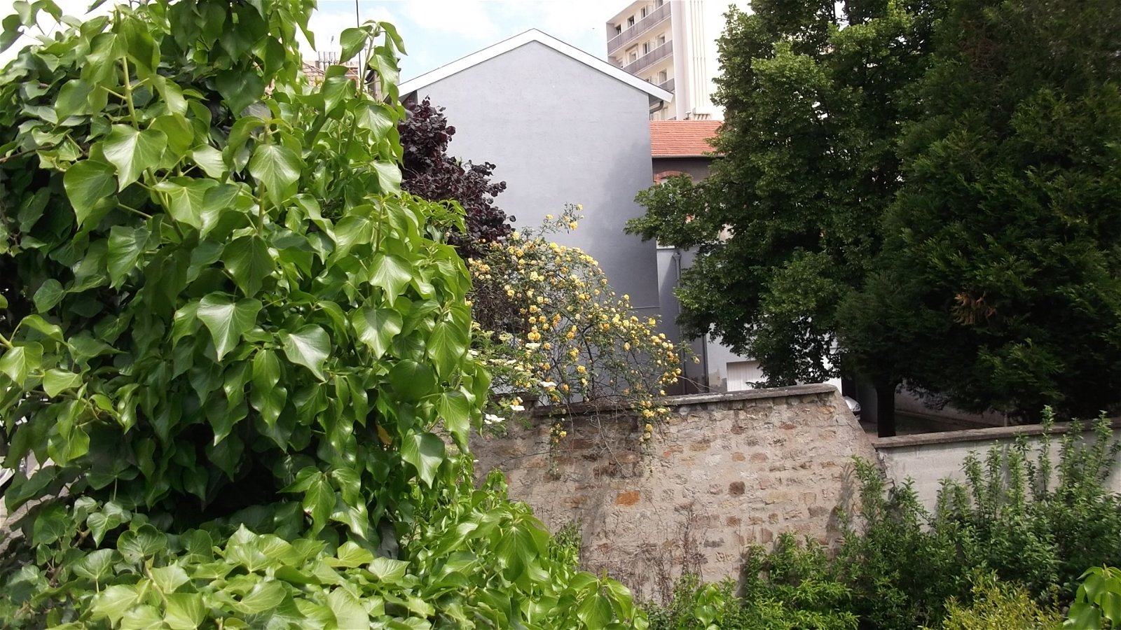 Gastgezin Saint-Étienne 133016