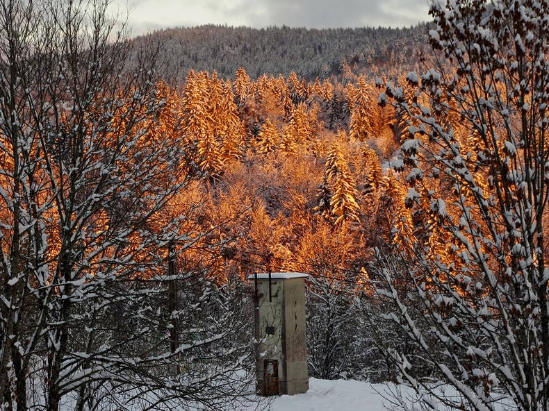 Colocation Bellefontaine 141689-2