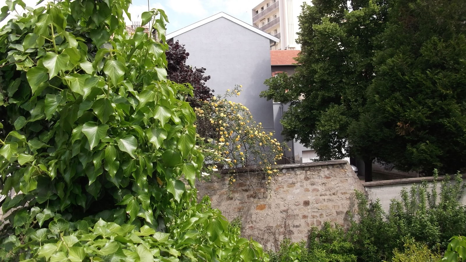 Homestay Saint-Étienne 133016