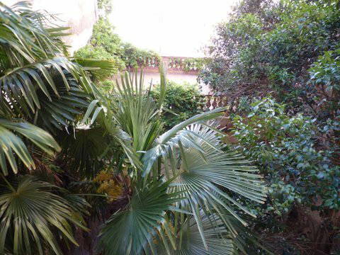 Entire Home Perpignan 91881-1