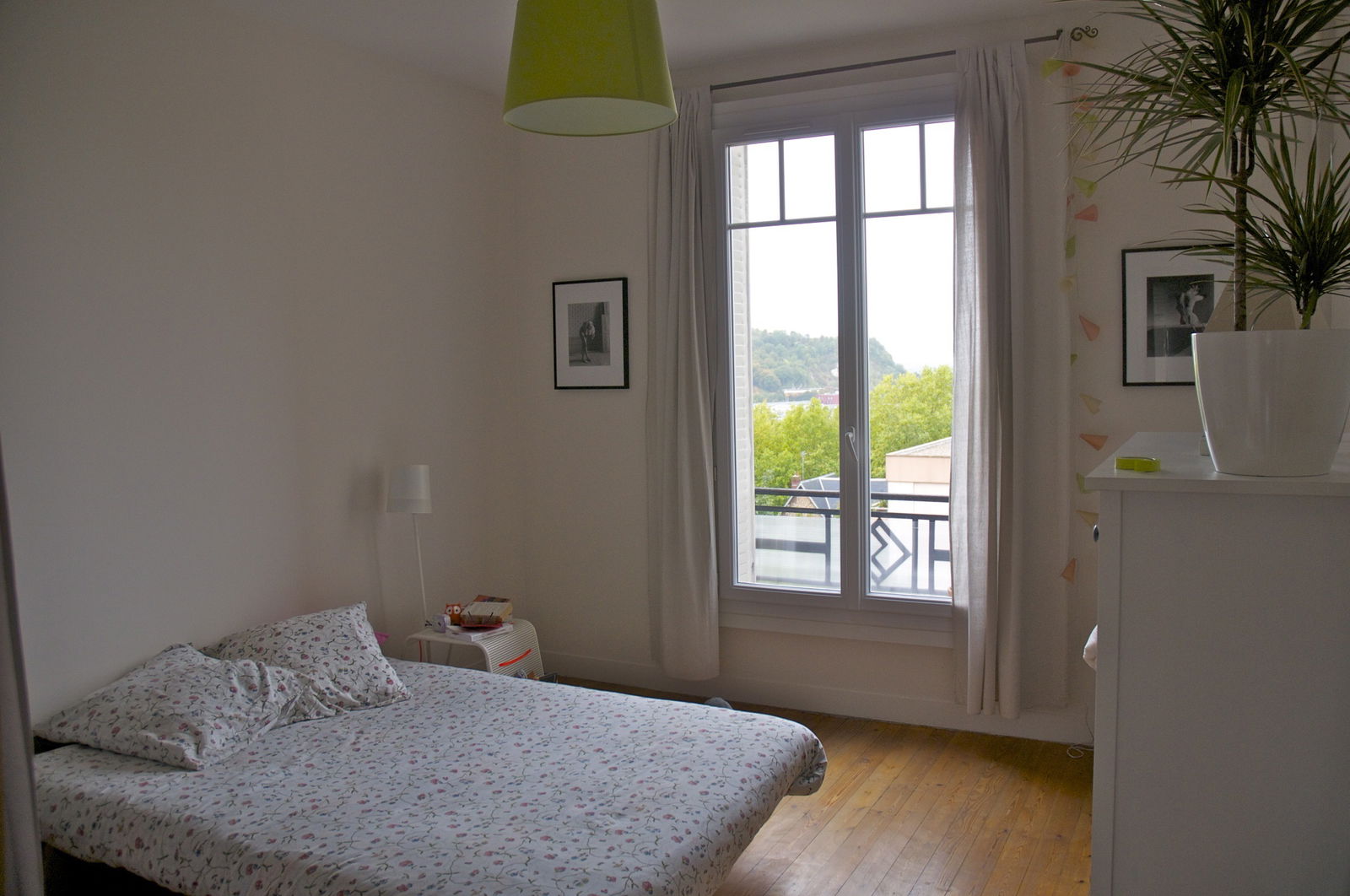 Kolokasie Rouen 115838