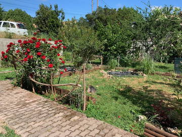 Chambre Chez L'habitant Lamalou-Les-Bains 433720-24