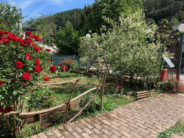 Famiglia Lamalou-les-Bains 433720