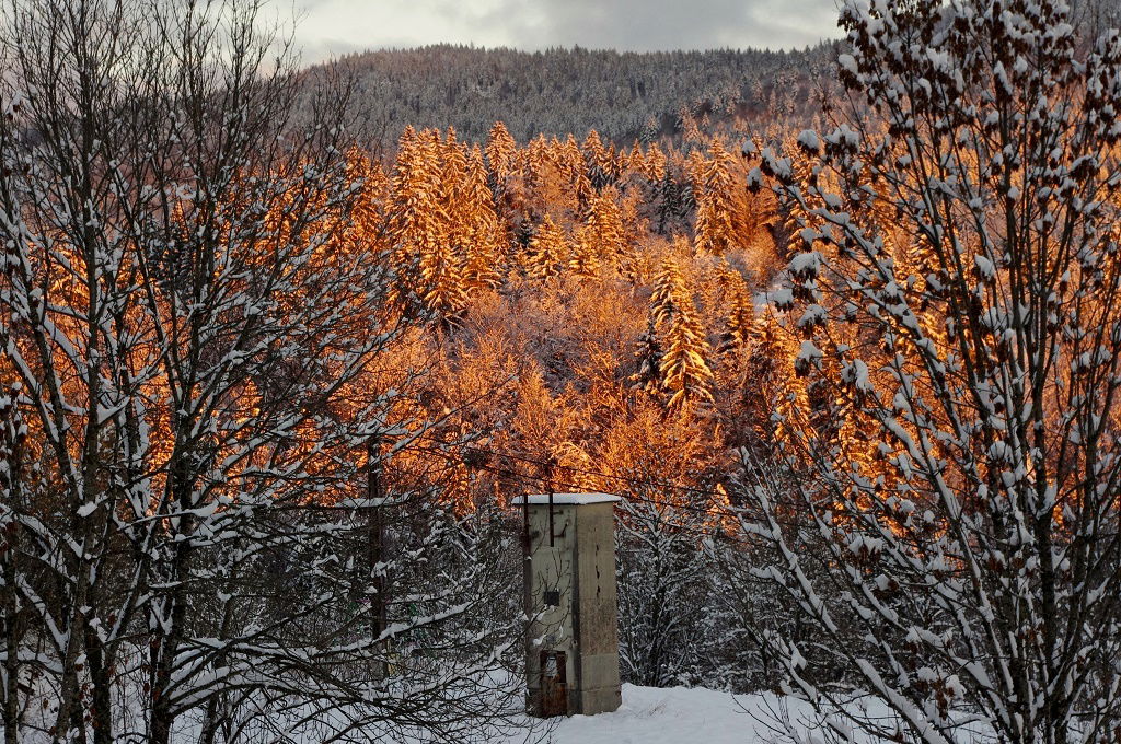 Kolokation Bellefontaine 141689