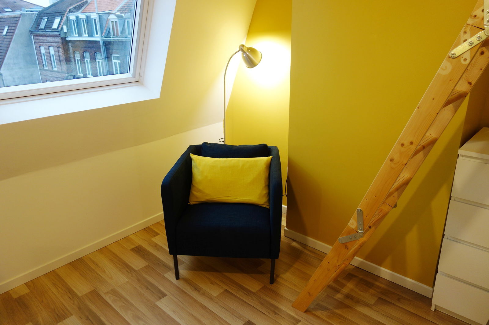 Kolokasie Lille 235676