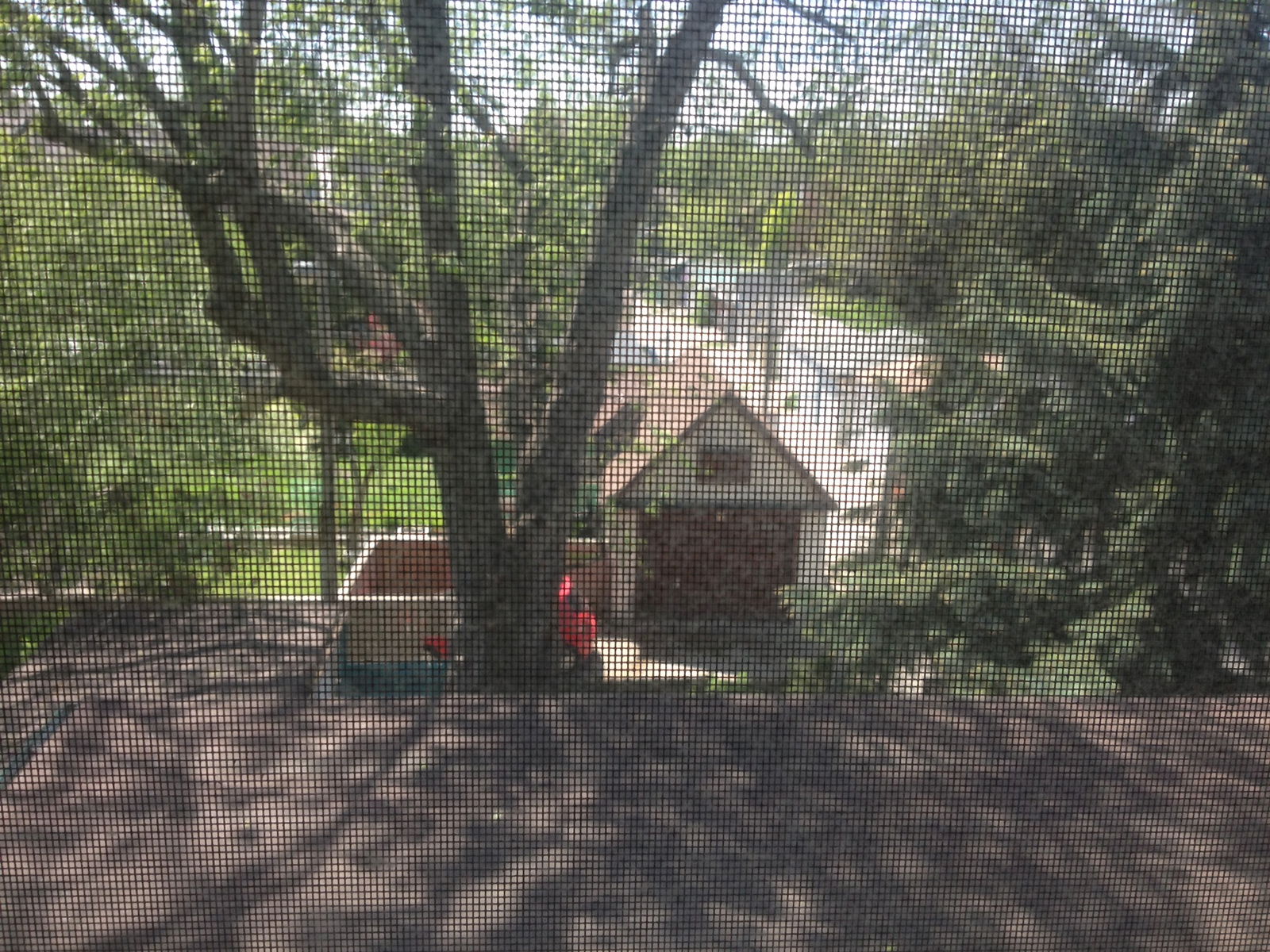 Kolokation Toronto 300295