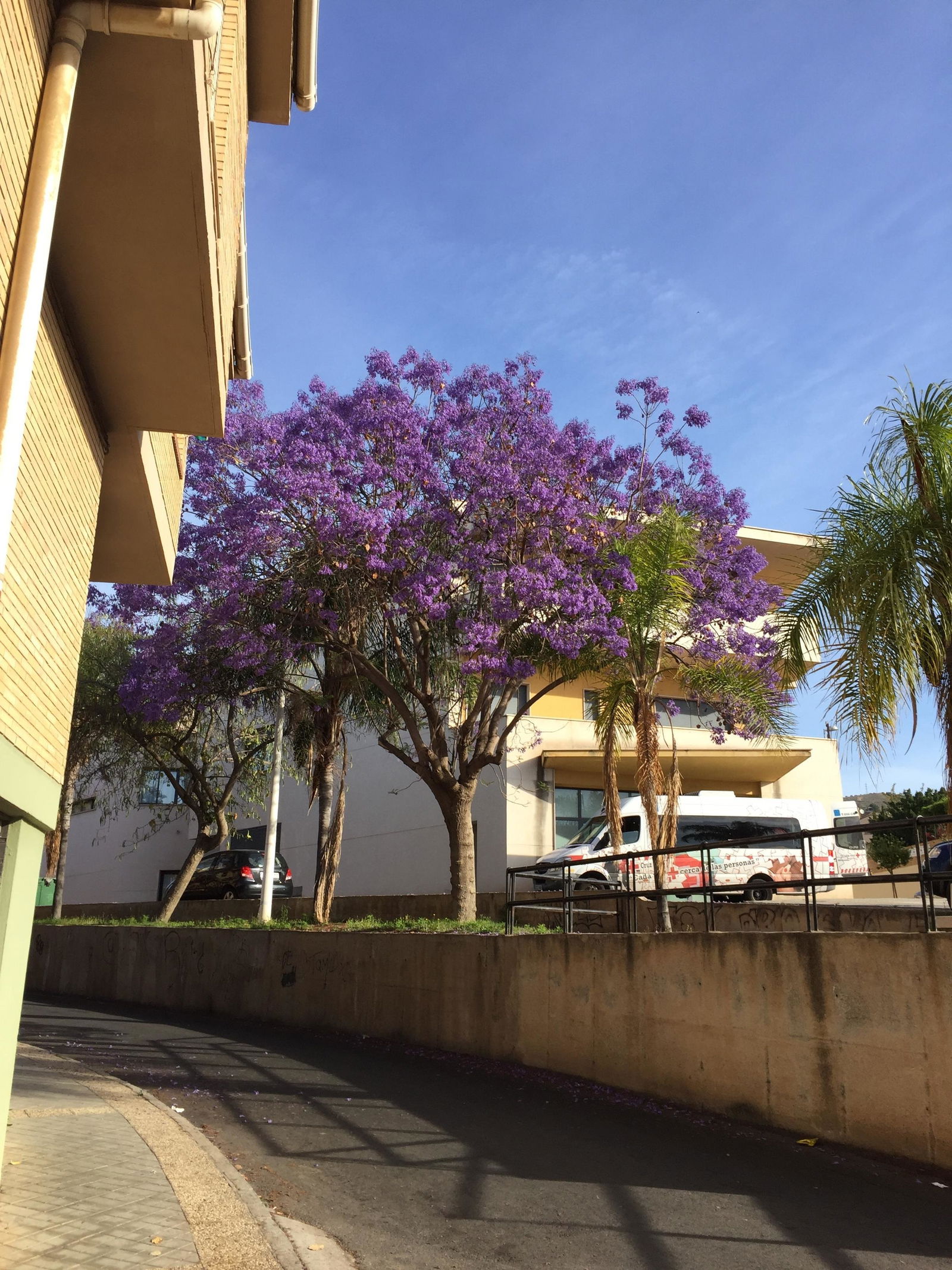 Studio Indépendant Motril 105453