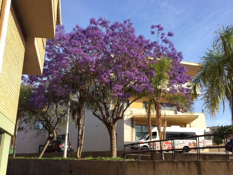 Ganzes Haus Motril 105453-1