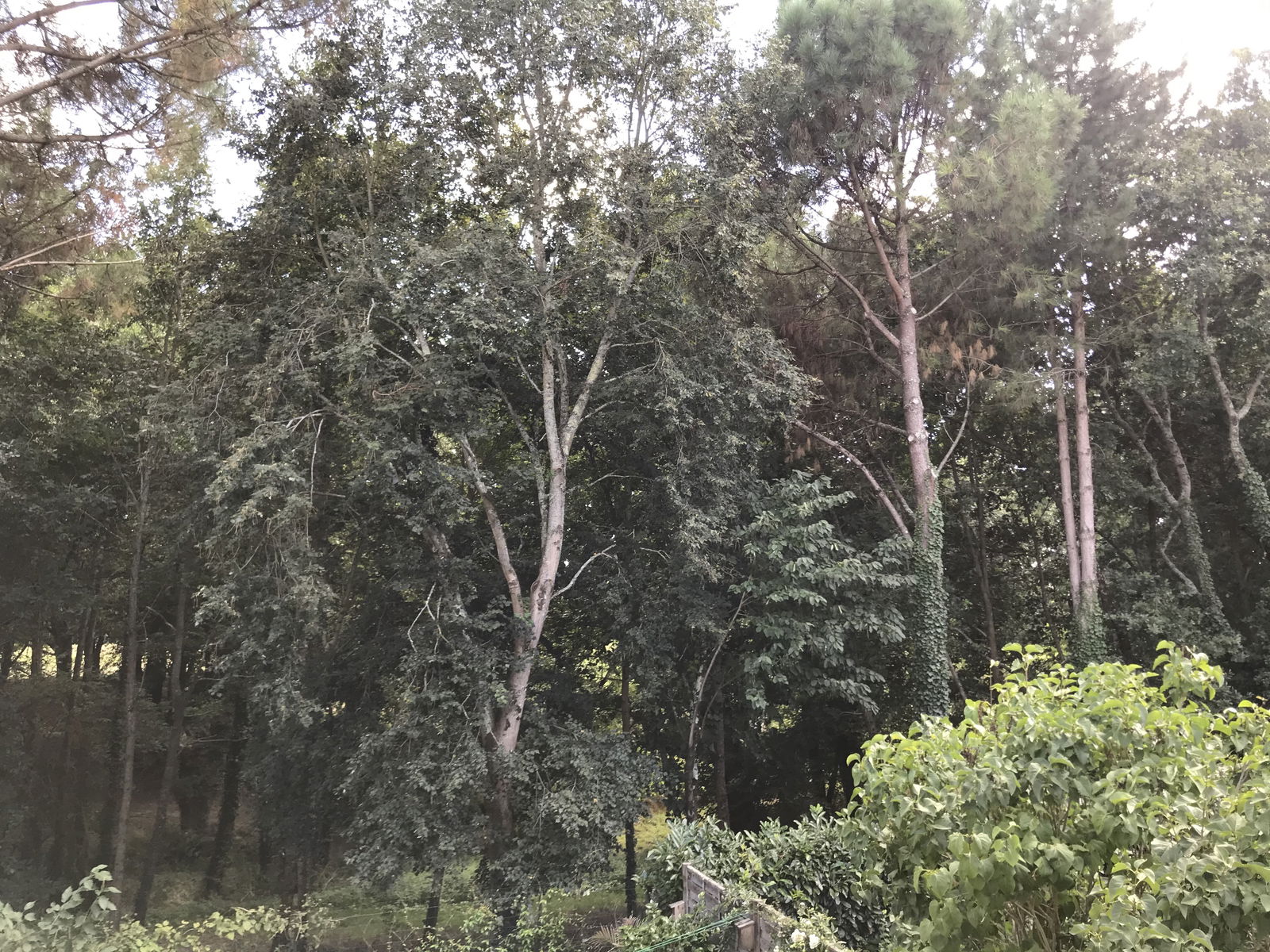 Collocazione Nantes 247642