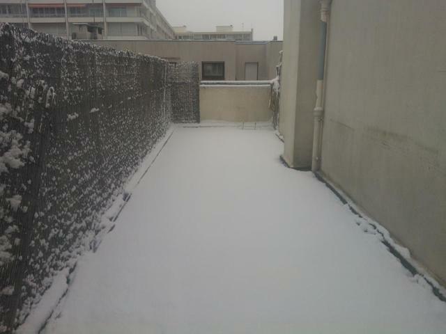 Colocation Paris 57345