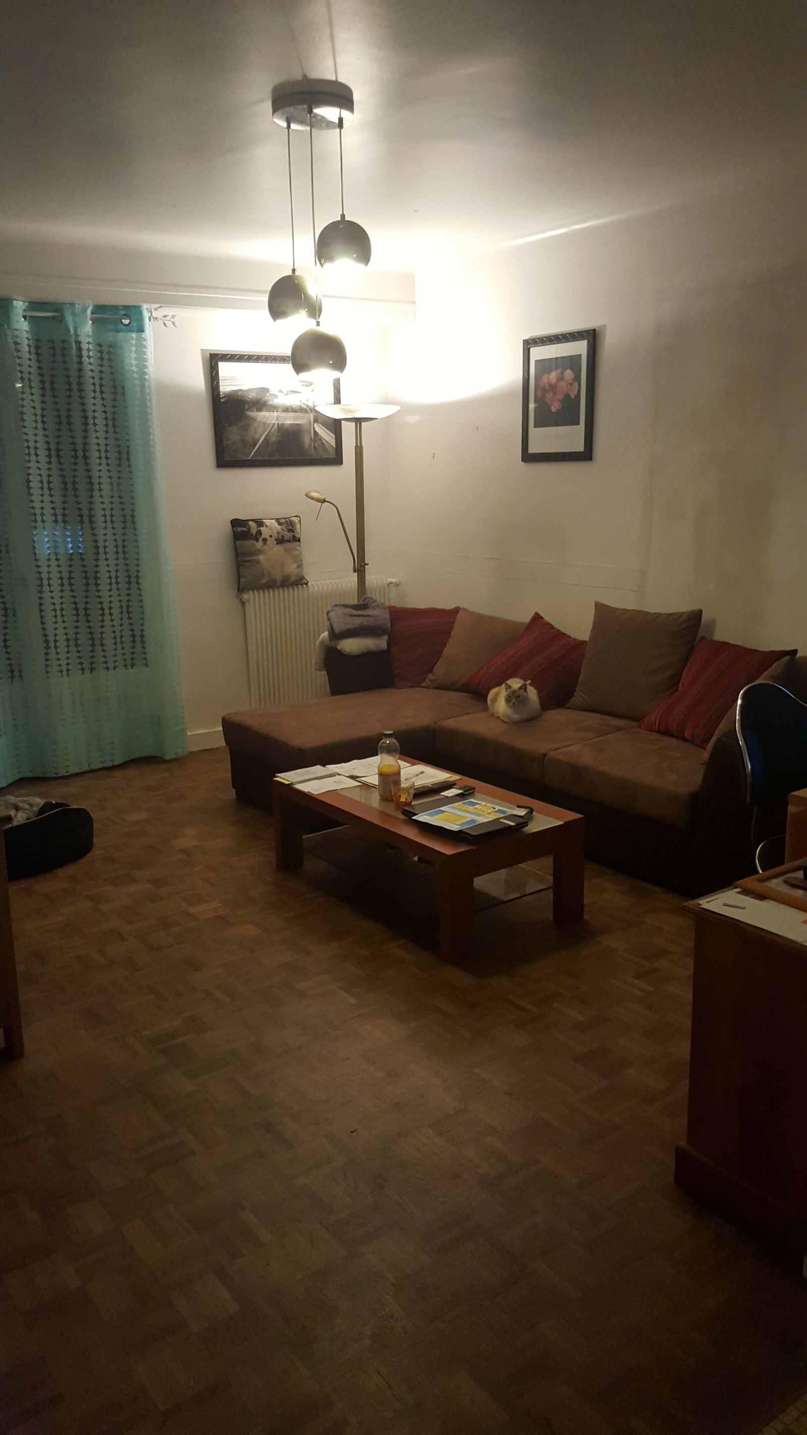 Colocation Pau 118375