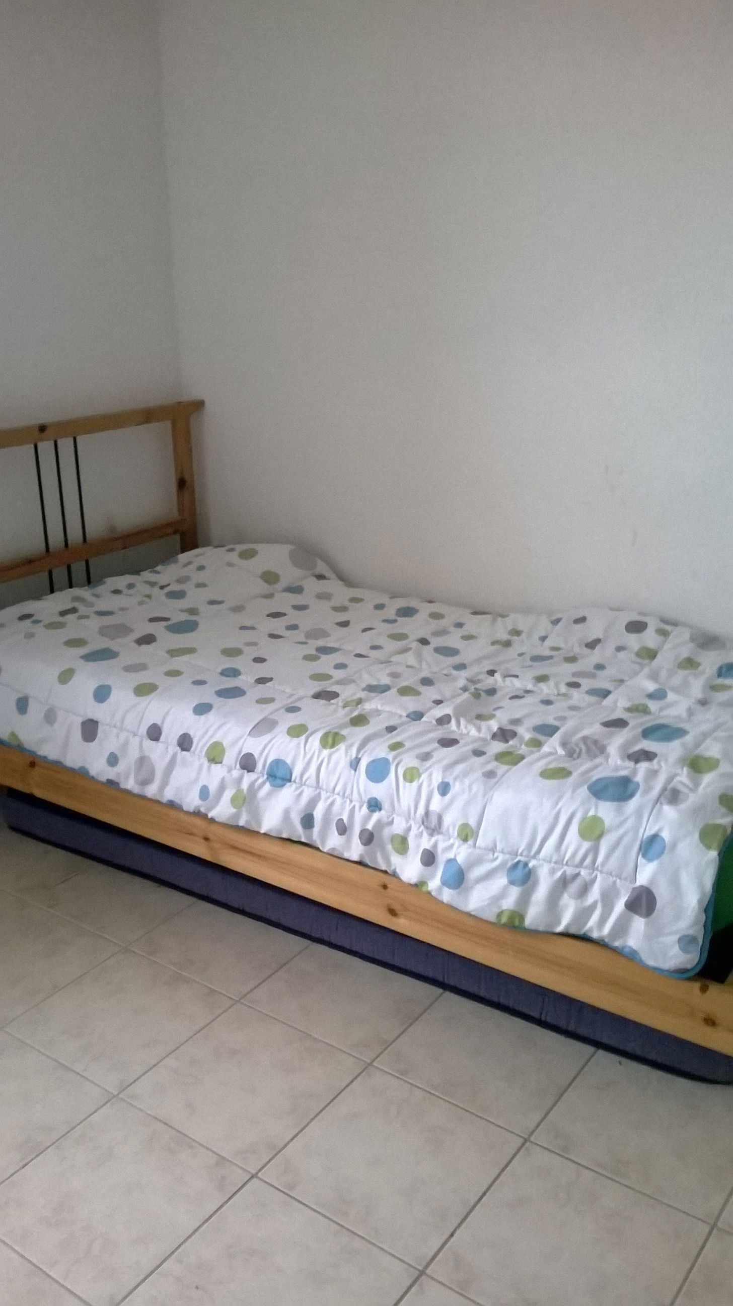 Colocation Toulouse 64487