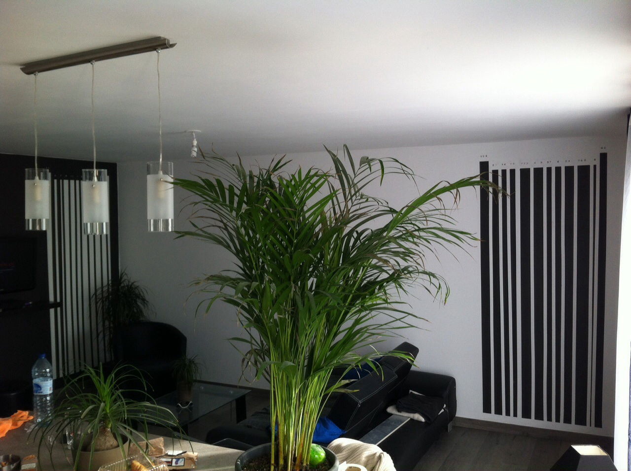 Colocation Noyal-Muzillac 99141