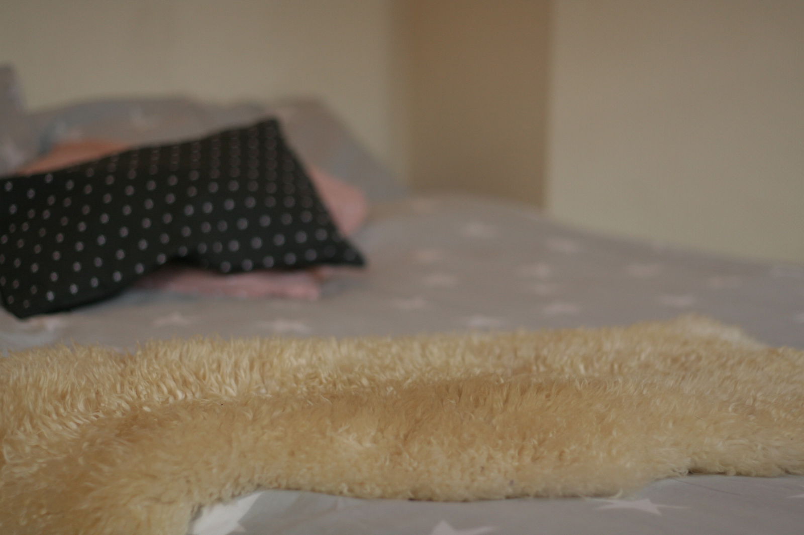 Colocation Tarbes 120437