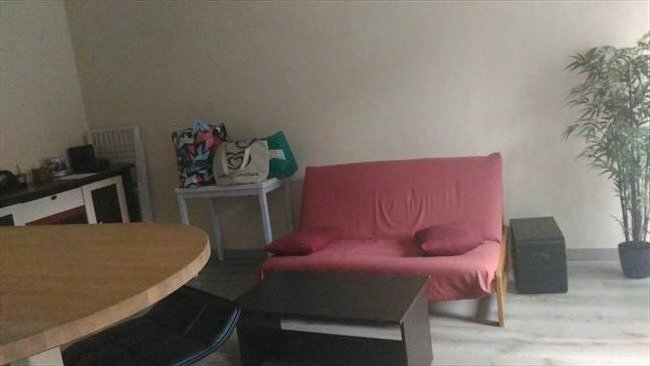 Colocation Toulouse 178793