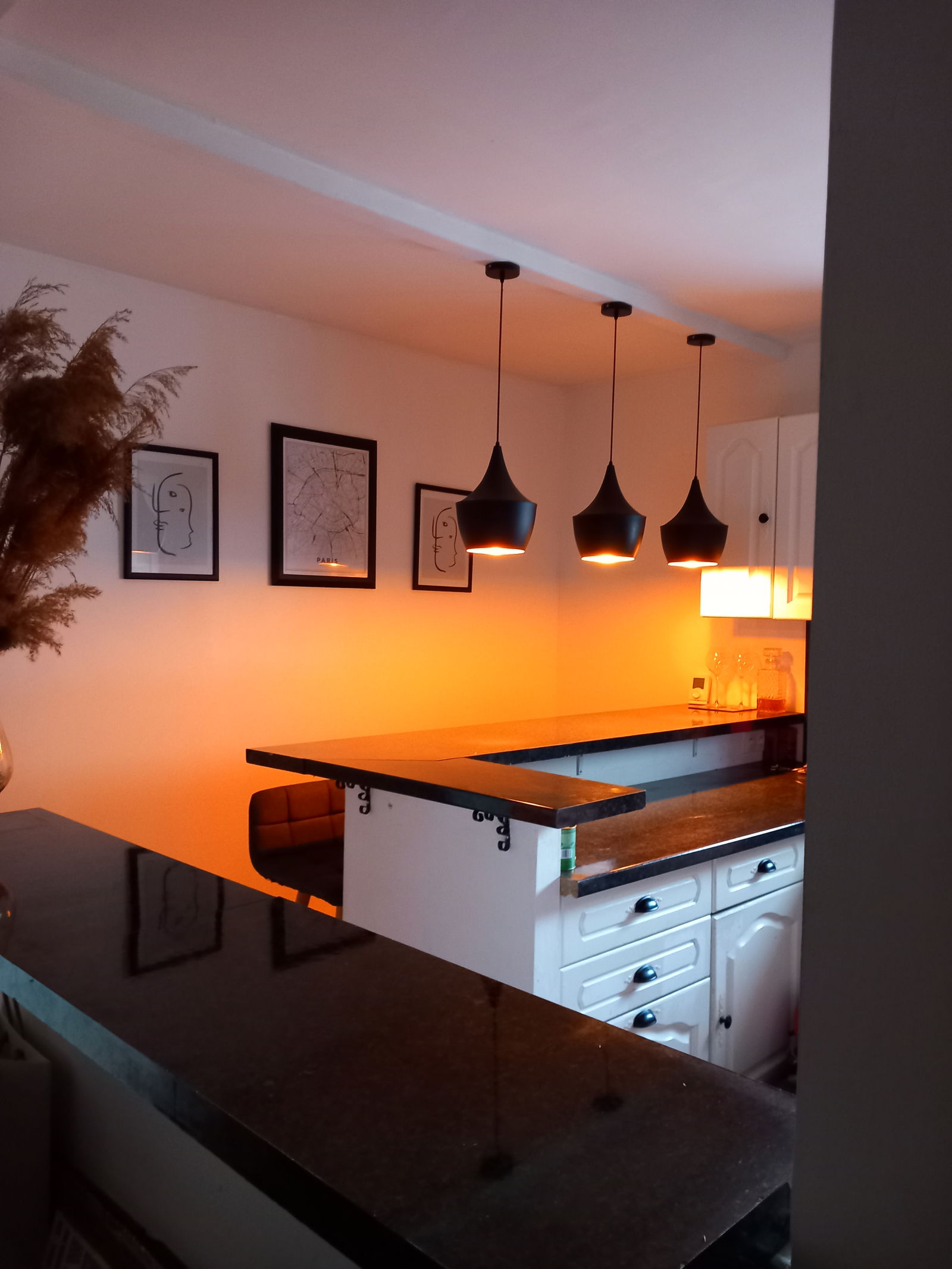 Colocation Melun 446293