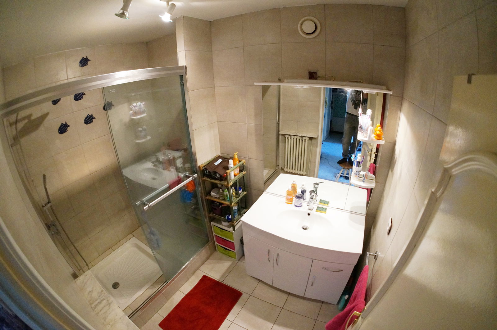 Colocation Toulouse 133683