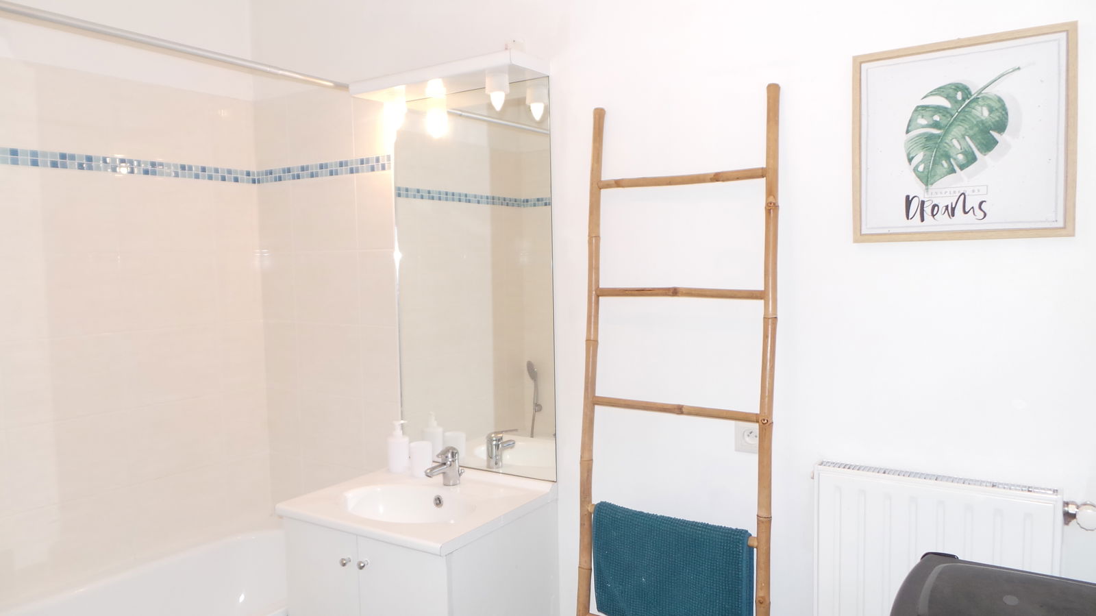 Colocation Cergy 244393