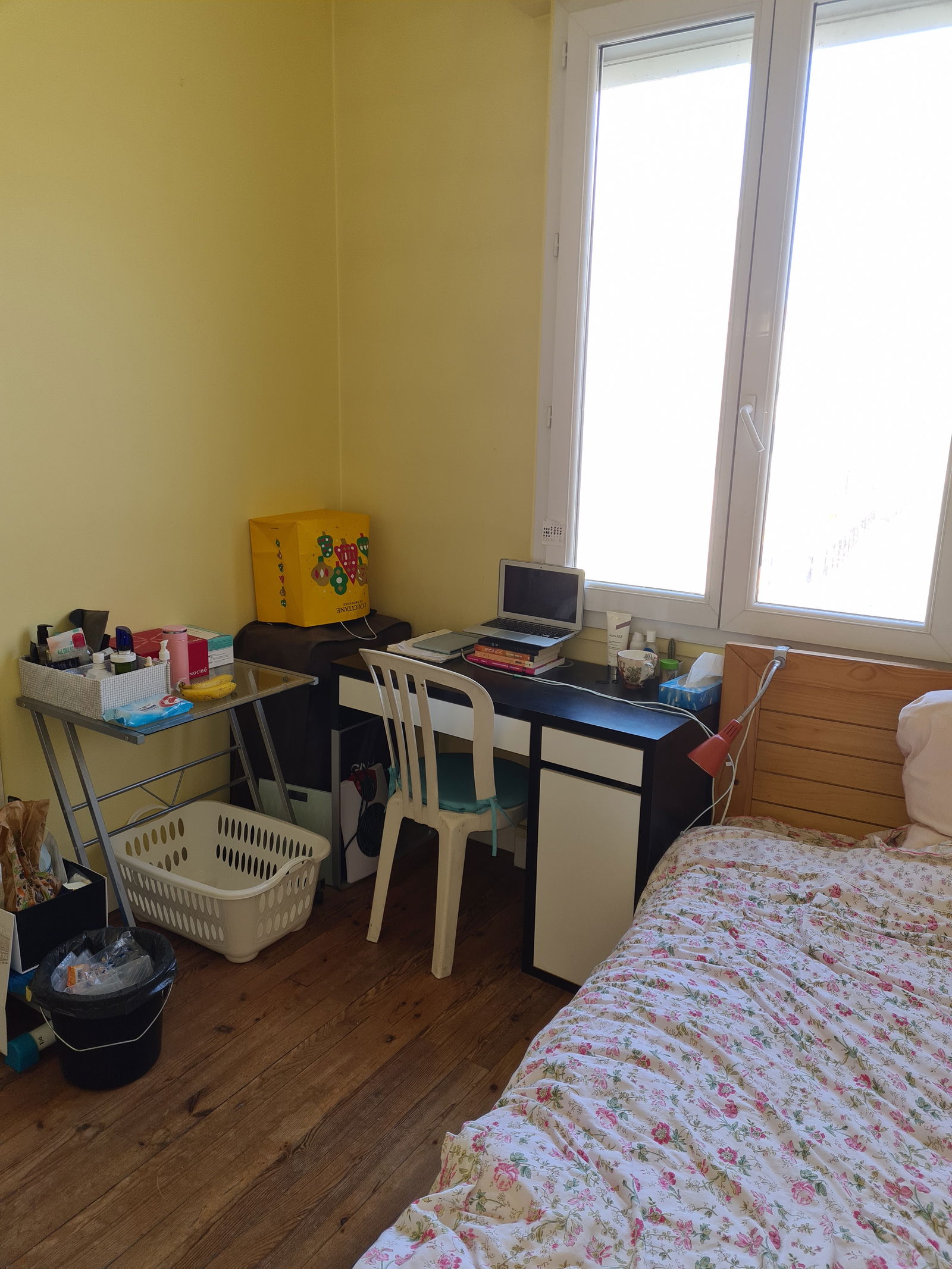 Colocation Bordeaux 248485