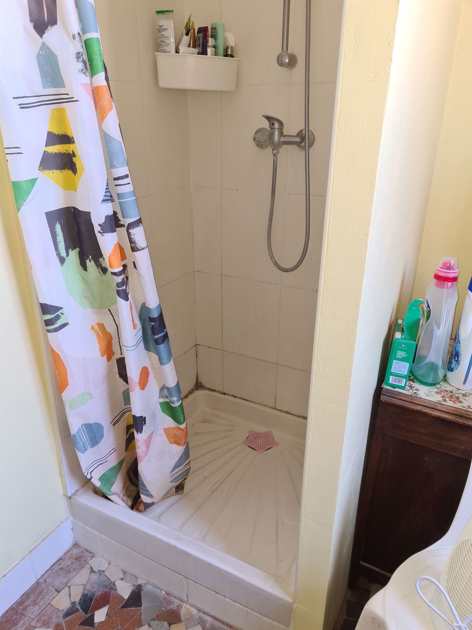 Colocation Bordeaux 248485