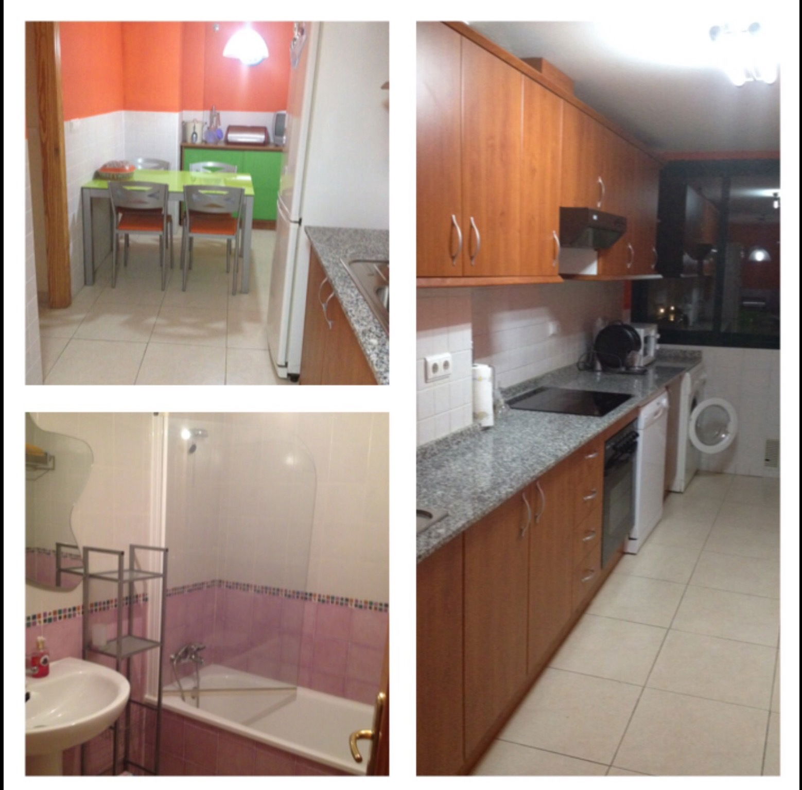 Colocation Alicante 133569