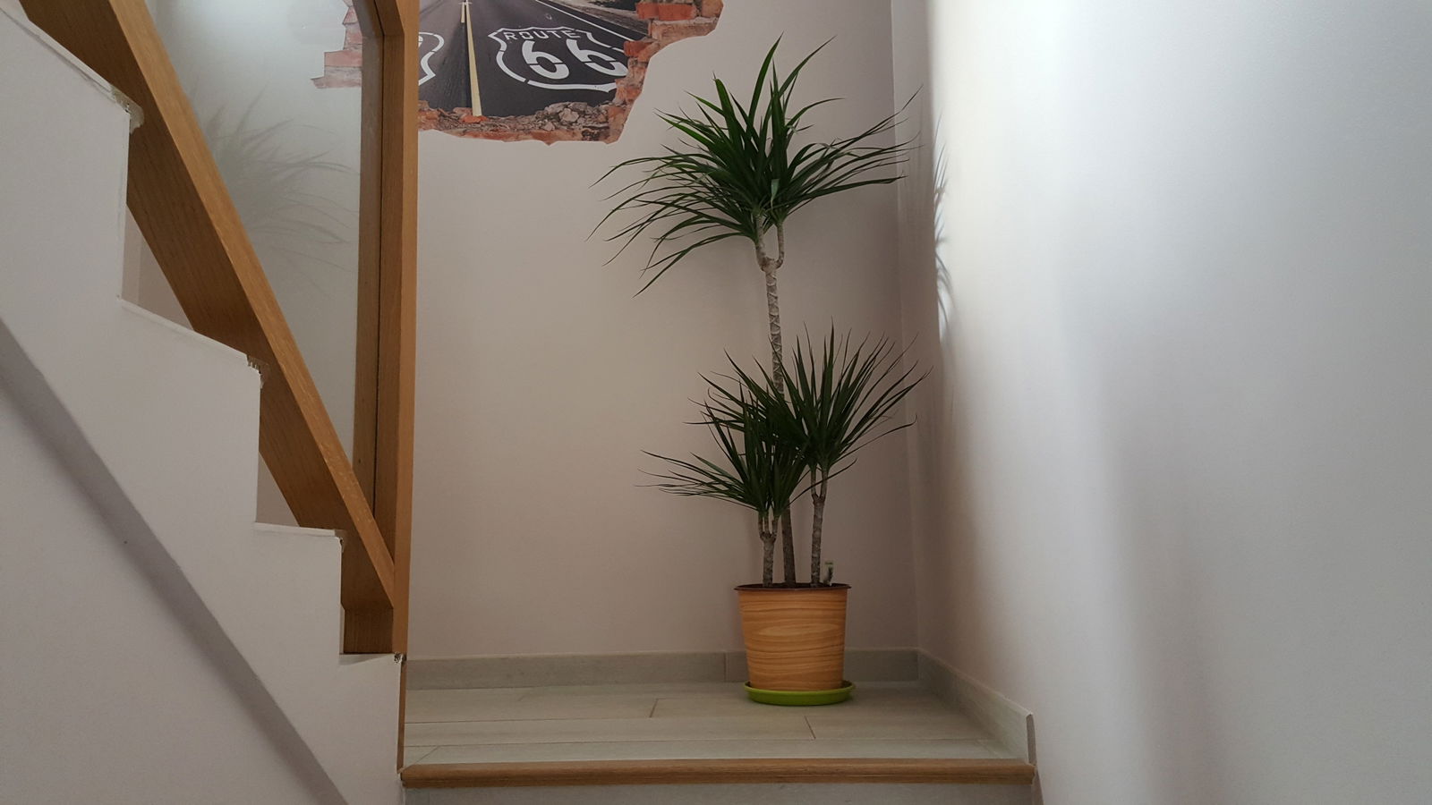 Colocation Saint-Georges-des-Coteaux 21708