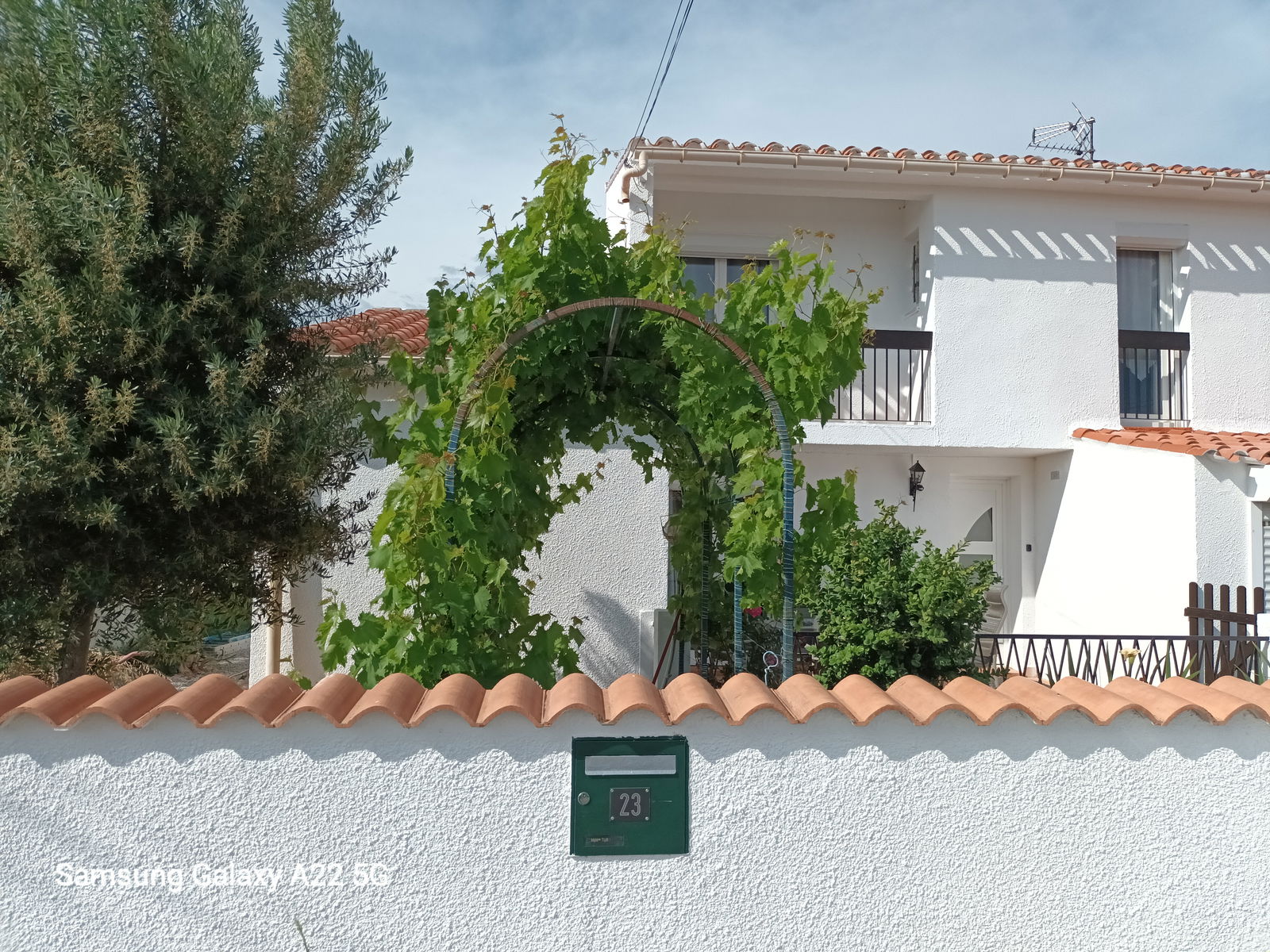 Colocation Canet 480704