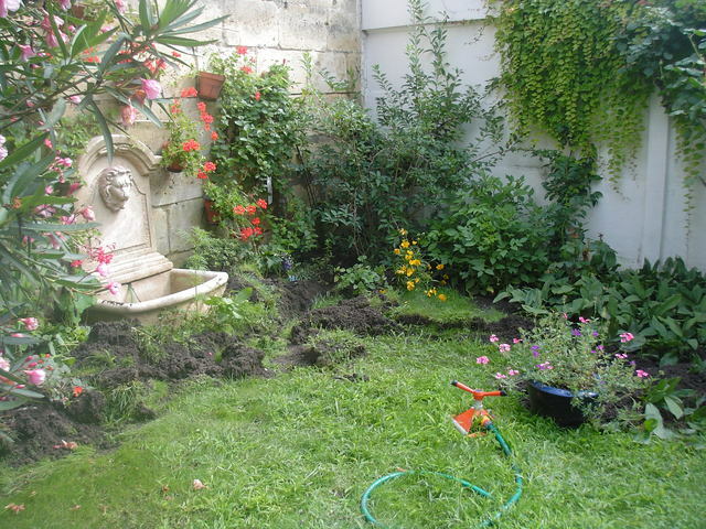 Colocation Bordeaux 53546