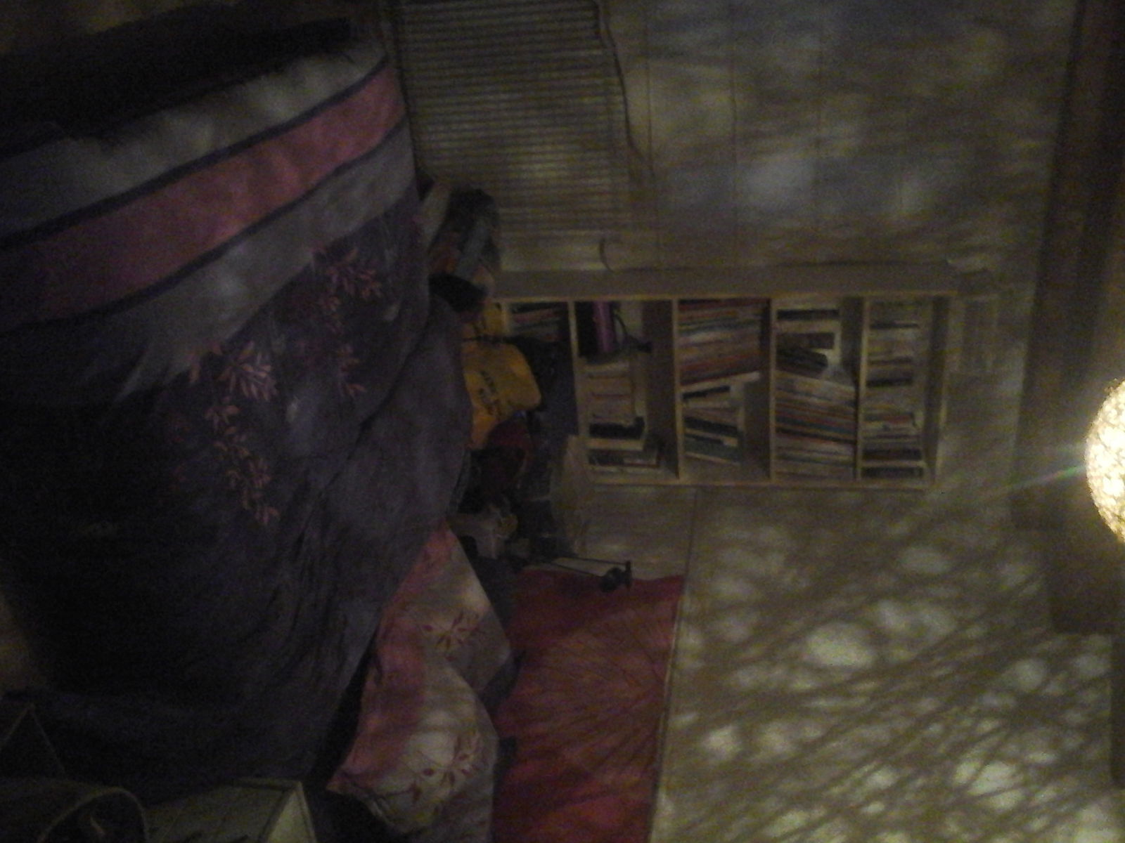 Colocation Bron 124436