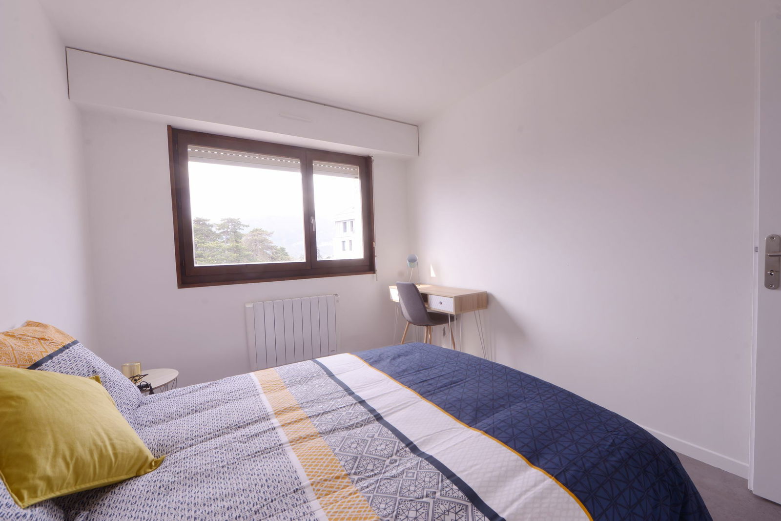 Colocation Annemasse 247837