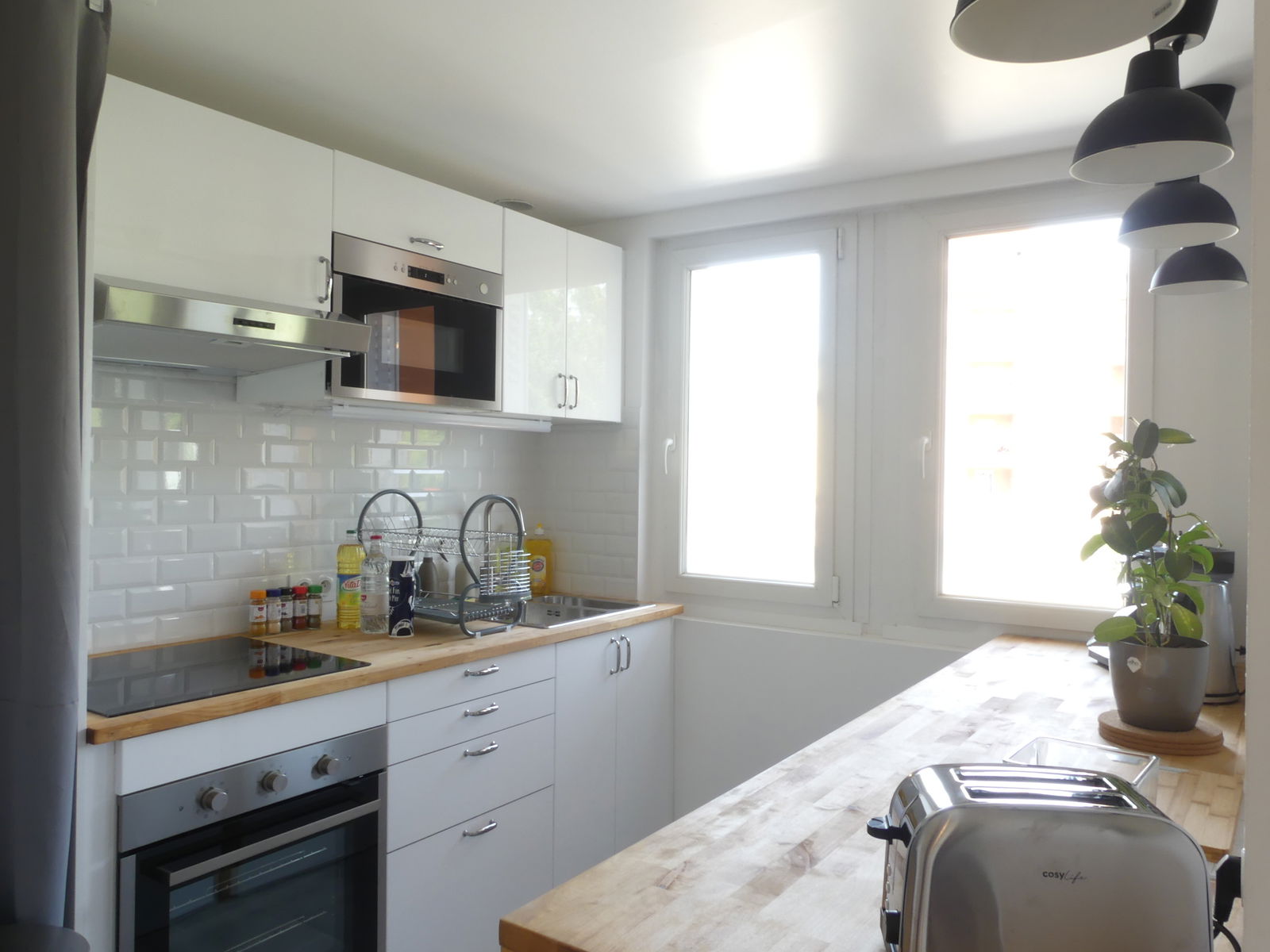 Colocation Toulouse 221503