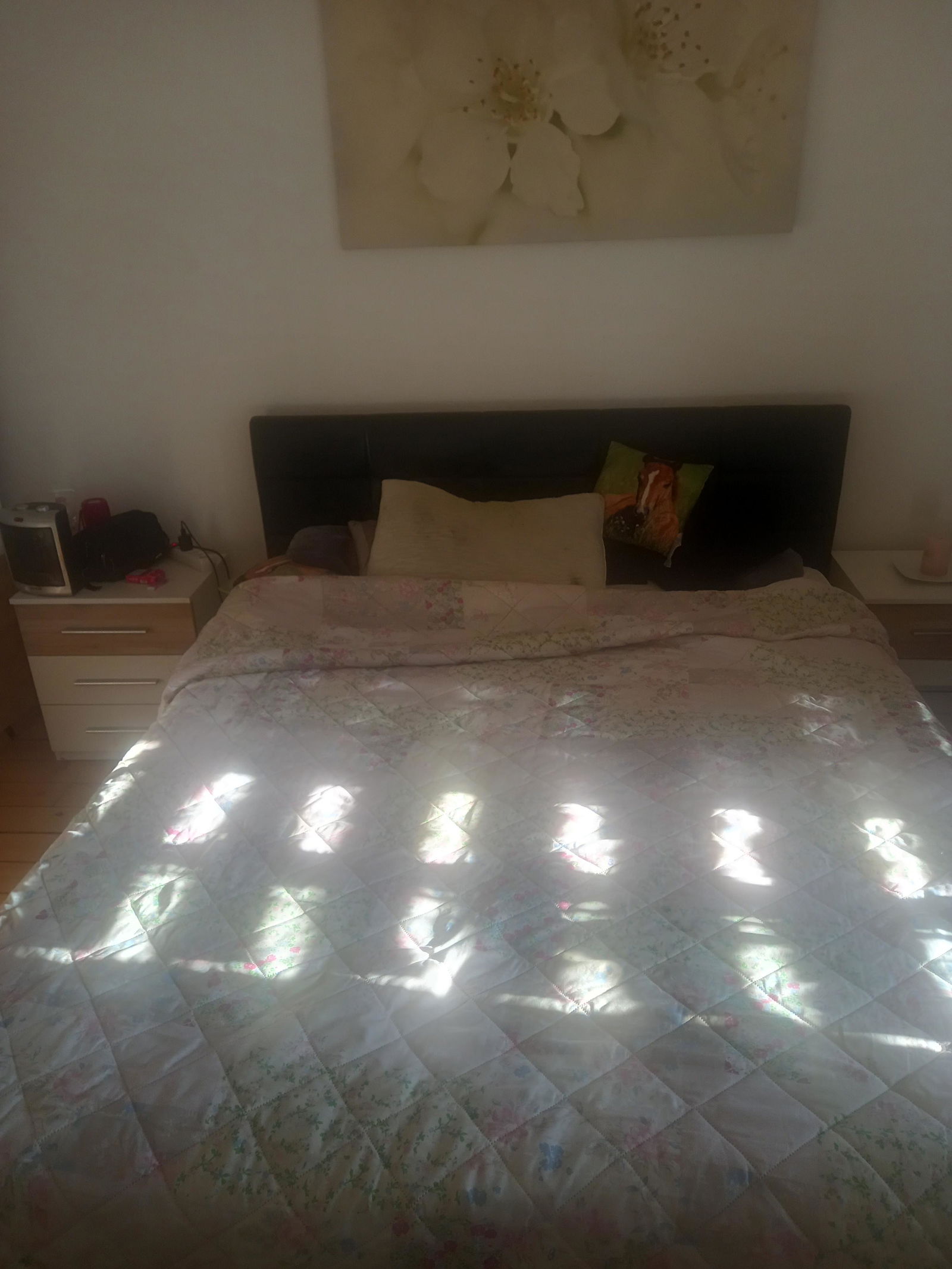 Colocation Genève 490834