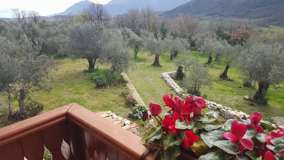 Tutta La Casa Faicchio 135609