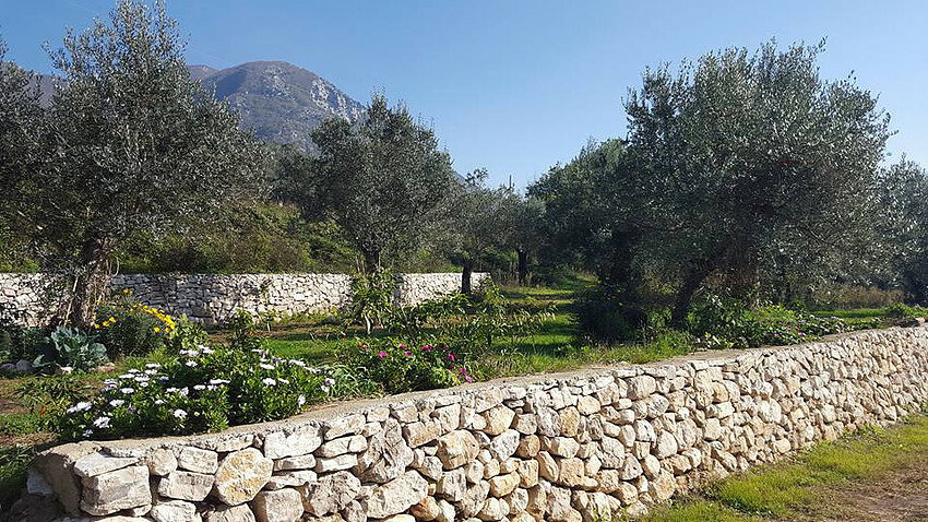 Tutta La Casa Faicchio 135609