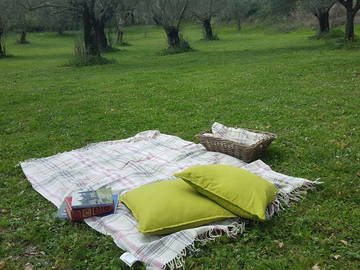 Logement Entier Faicchio 135609-10