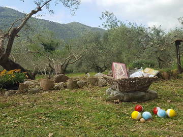 Logement Entier Faicchio 135609-11