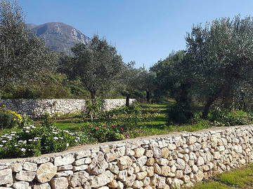 Logement Entier Faicchio 135609-12