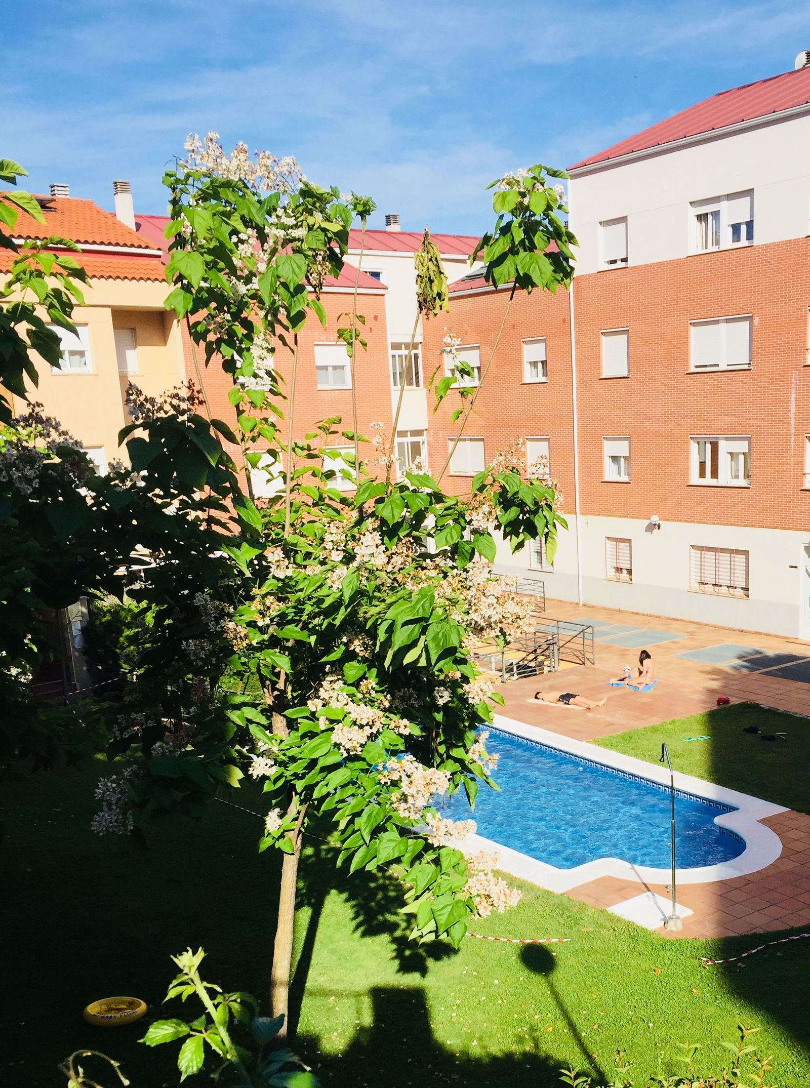 Colocation Cáceres 216000