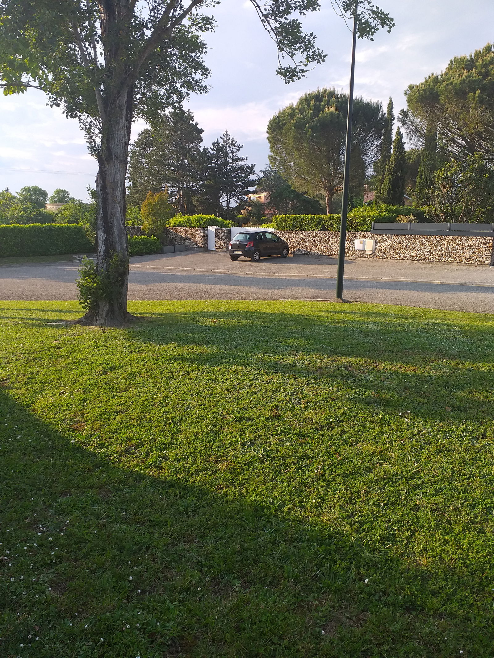 Famiglia Saint-Génies-Bellevue 306845