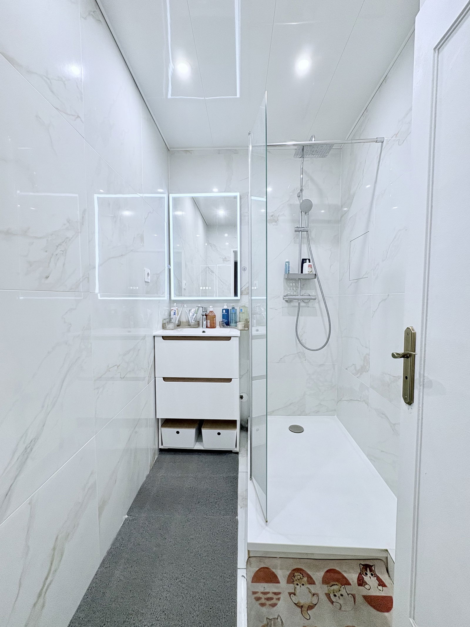 Famiglia Massy 391109