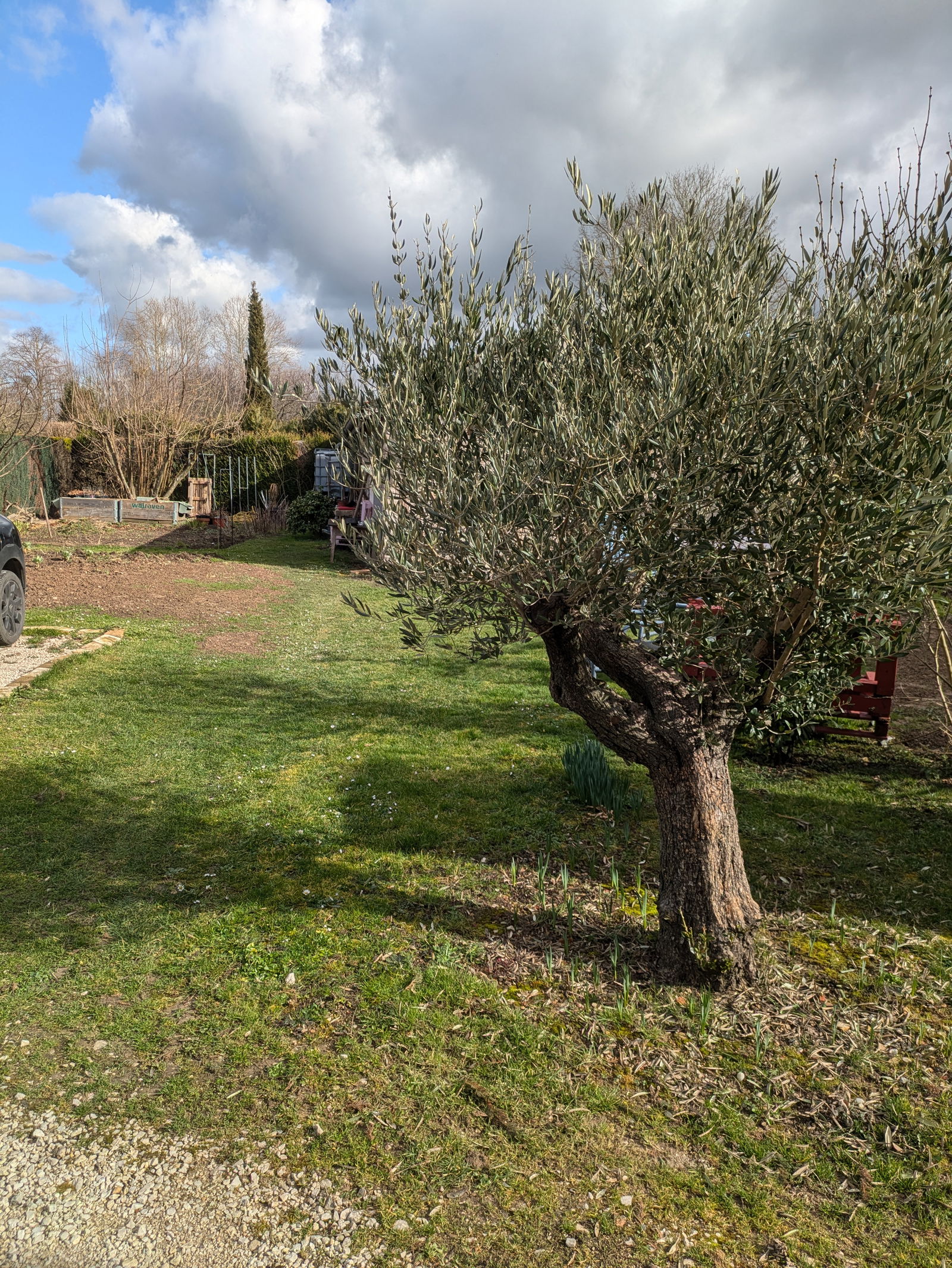 Famiglia Damerey 396475