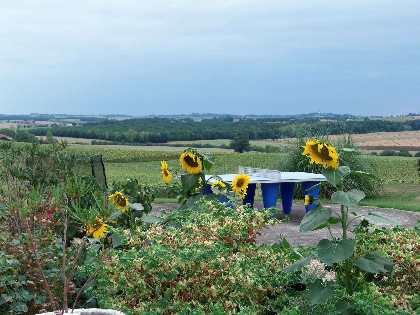 Unabhängiges Studio Pauilhac 257428