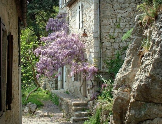 Unabhängiges Studio Montréal 40960