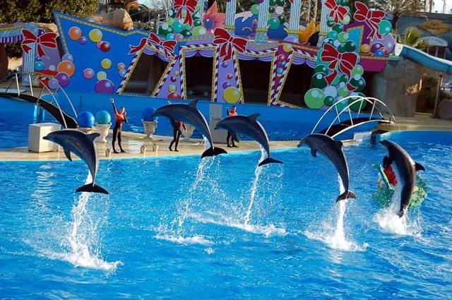 Gästezimmer Le Bar-sur-Loup 35622