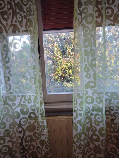 Homestay Berra 591402