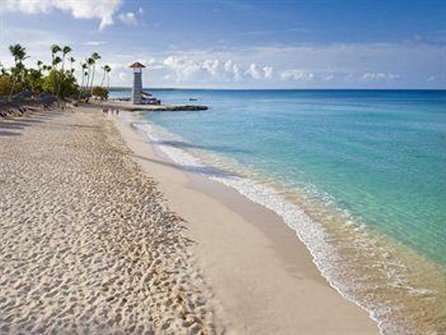 Independent Studio Dominicus 81523