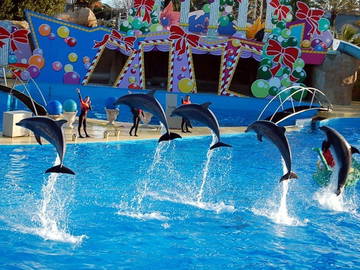 Bed And Breakfast Le Bar-Sur-Loup 35622-8