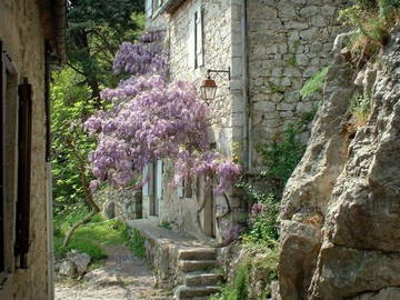 Logement Entier Montréal 40960-5