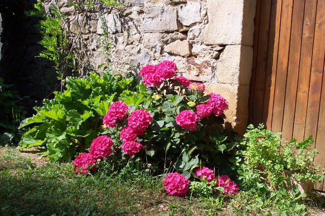 Entire Home Montréal 40960
