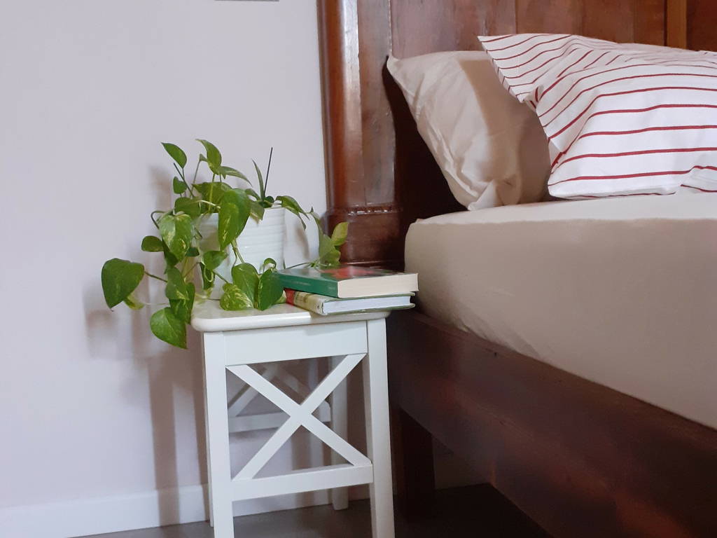 Gastgezin Ravenna 241363-1